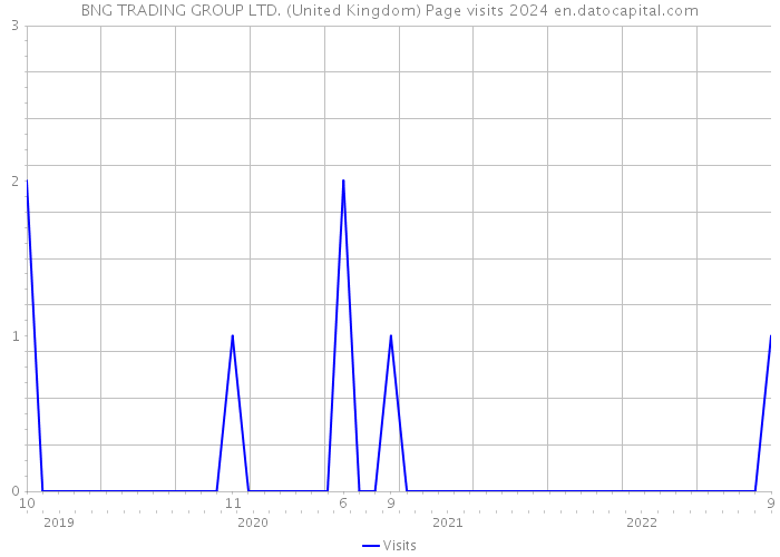 BNG TRADING GROUP LTD. (United Kingdom) Page visits 2024 