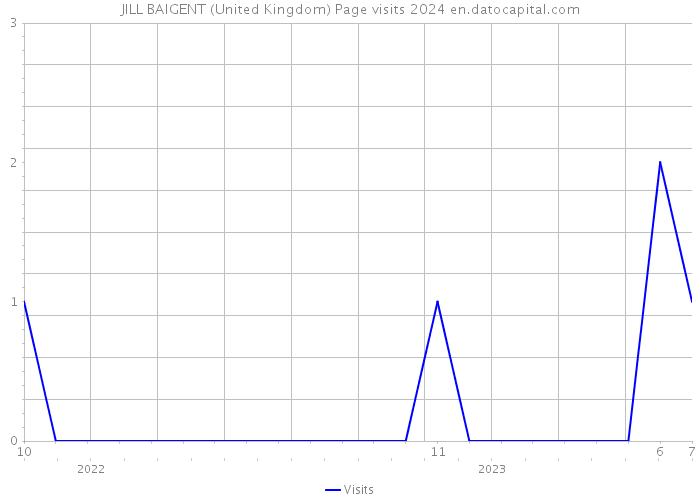 JILL BAIGENT (United Kingdom) Page visits 2024 
