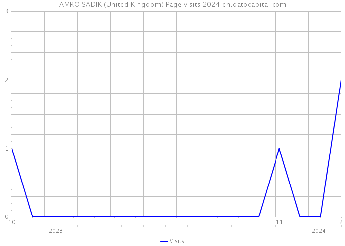 AMRO SADIK (United Kingdom) Page visits 2024 