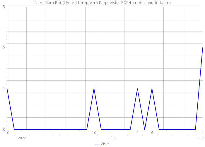 Nam Nam Bui (United Kingdom) Page visits 2024 