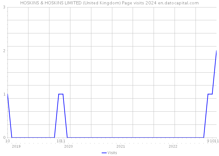HOSKINS & HOSKINS LIMITED (United Kingdom) Page visits 2024 