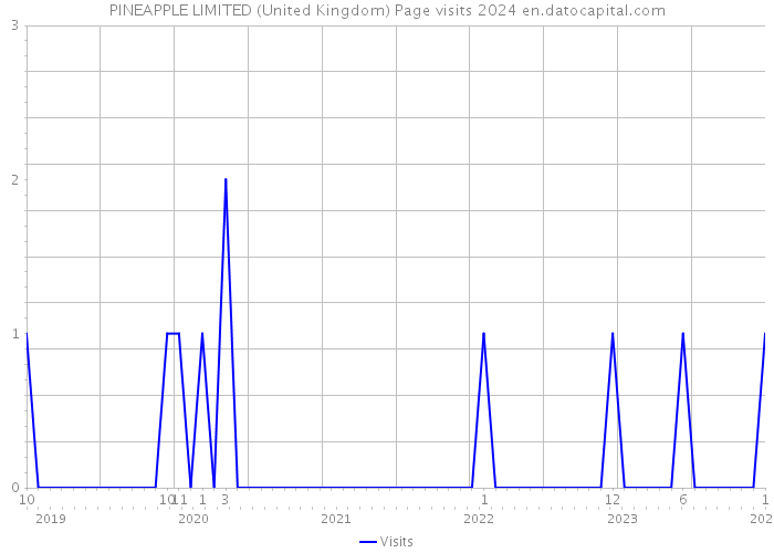PINEAPPLE LIMITED (United Kingdom) Page visits 2024 