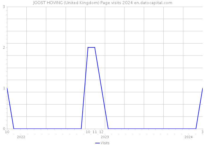 JOOST HOVING (United Kingdom) Page visits 2024 