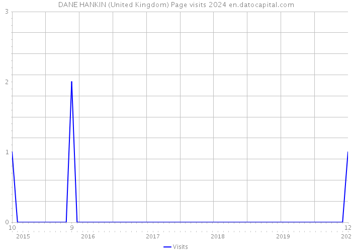 DANE HANKIN (United Kingdom) Page visits 2024 