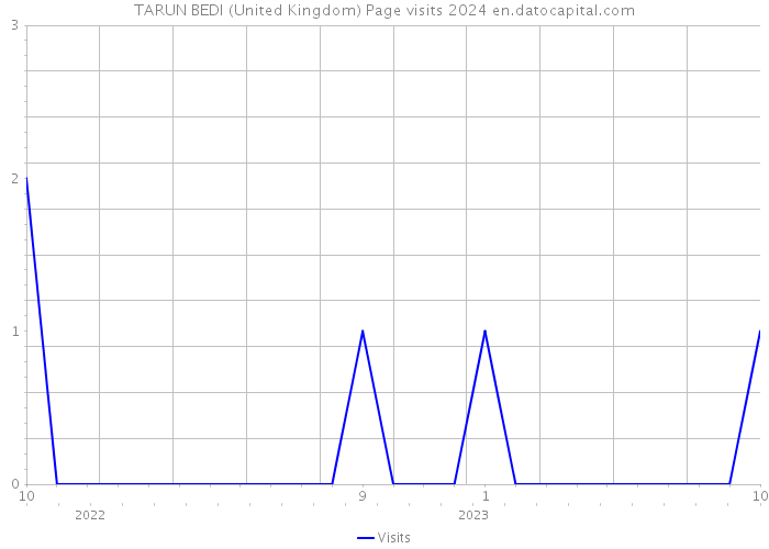 TARUN BEDI (United Kingdom) Page visits 2024 