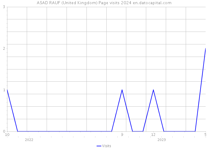 ASAD RAUF (United Kingdom) Page visits 2024 