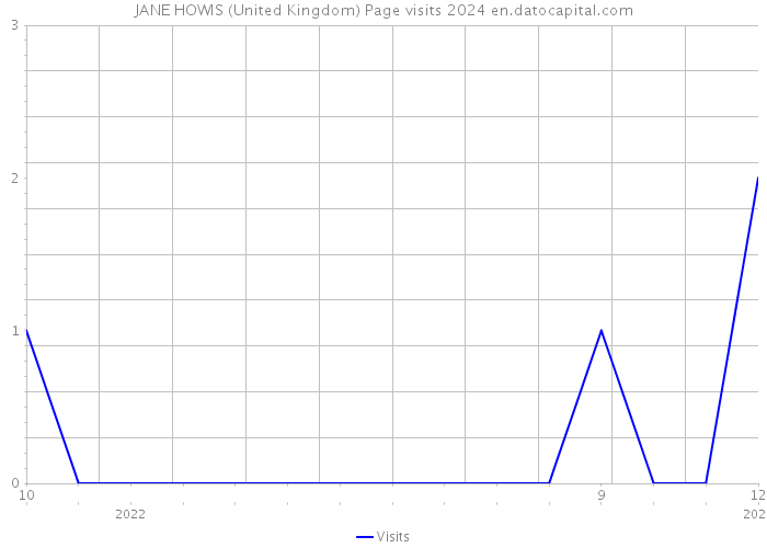 JANE HOWIS (United Kingdom) Page visits 2024 