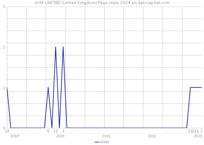 AVM LIMITED (United Kingdom) Page visits 2024 