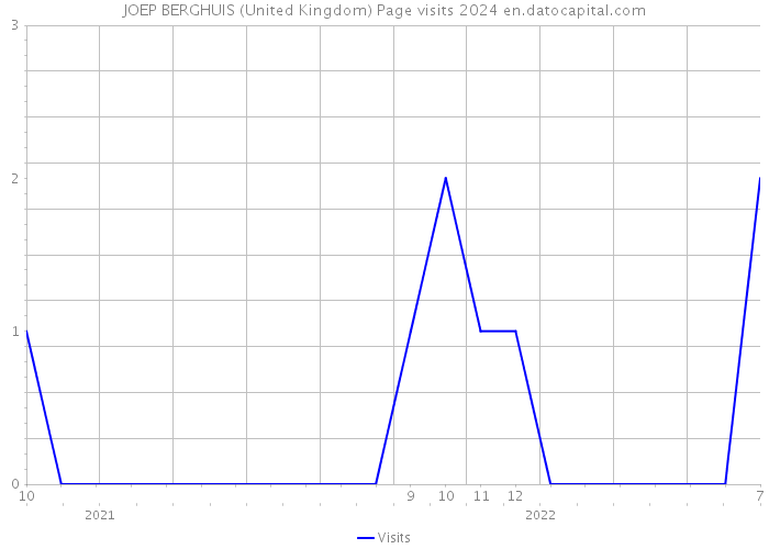 JOEP BERGHUIS (United Kingdom) Page visits 2024 