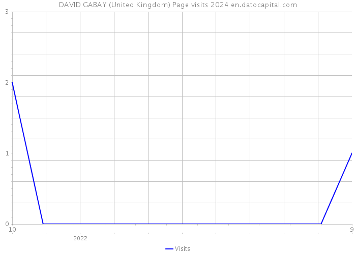 DAVID GABAY (United Kingdom) Page visits 2024 