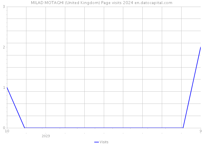 MILAD MOTAGHI (United Kingdom) Page visits 2024 