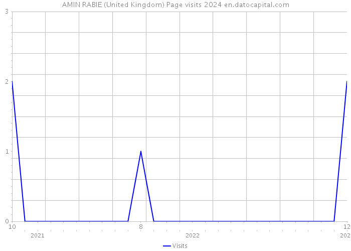 AMIN RABIE (United Kingdom) Page visits 2024 