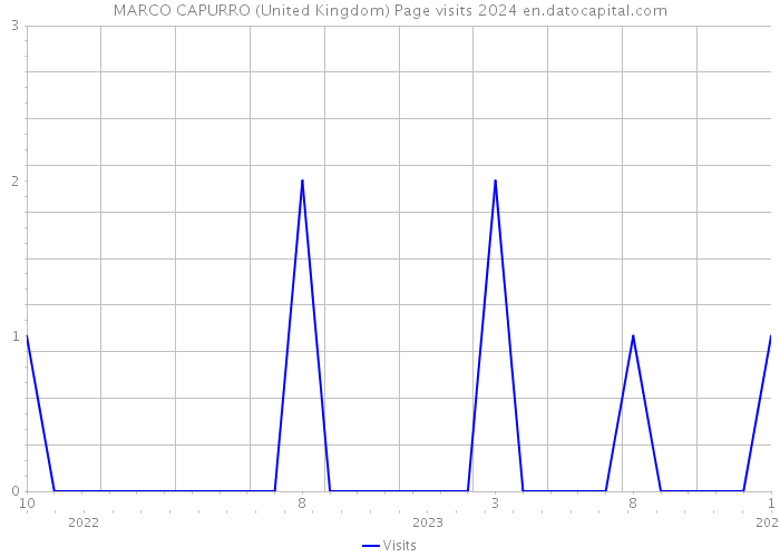 MARCO CAPURRO (United Kingdom) Page visits 2024 