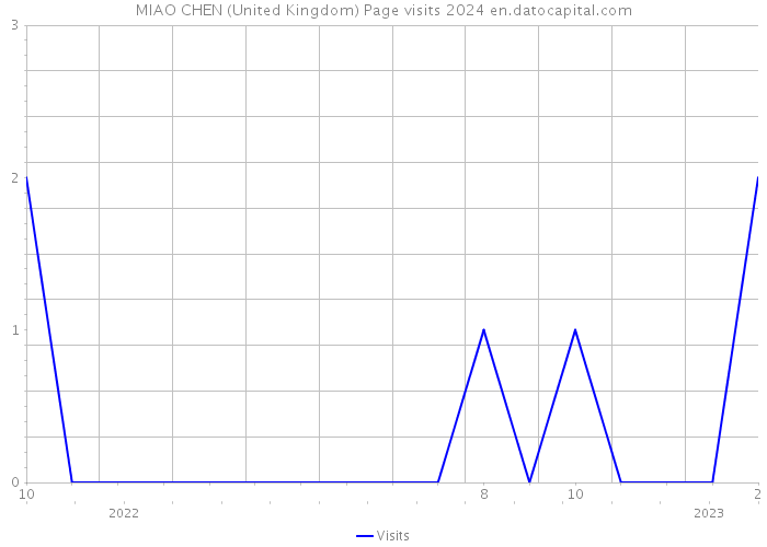 MIAO CHEN (United Kingdom) Page visits 2024 
