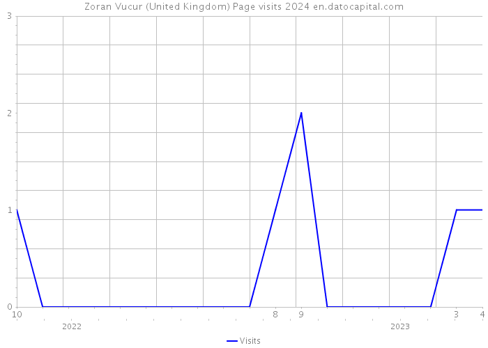 Zoran Vucur (United Kingdom) Page visits 2024 