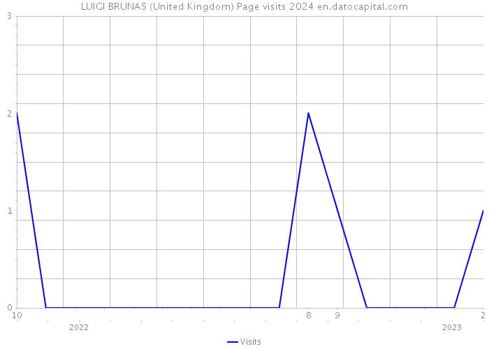LUIGI BRUNAS (United Kingdom) Page visits 2024 