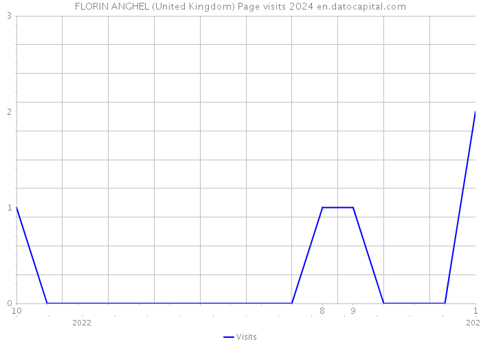 FLORIN ANGHEL (United Kingdom) Page visits 2024 