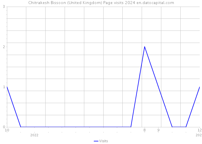 Chitrakesh Bissoon (United Kingdom) Page visits 2024 