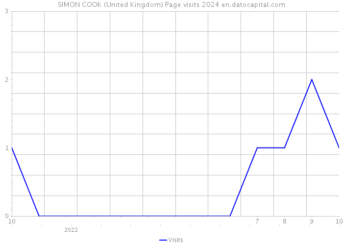 SIMON COOK (United Kingdom) Page visits 2024 