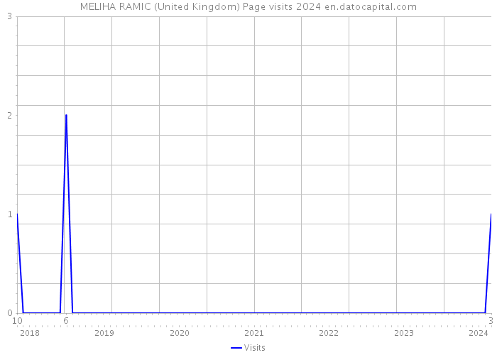 MELIHA RAMIC (United Kingdom) Page visits 2024 