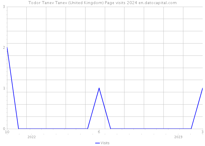 Todor Tanev Tanev (United Kingdom) Page visits 2024 