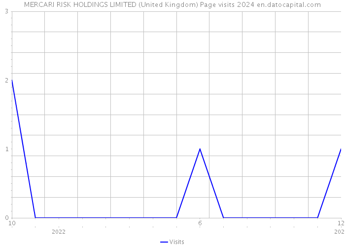 MERCARI RISK HOLDINGS LIMITED (United Kingdom) Page visits 2024 