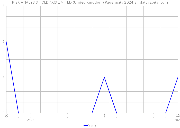 RISK ANALYSIS HOLDINGS LIMITED (United Kingdom) Page visits 2024 