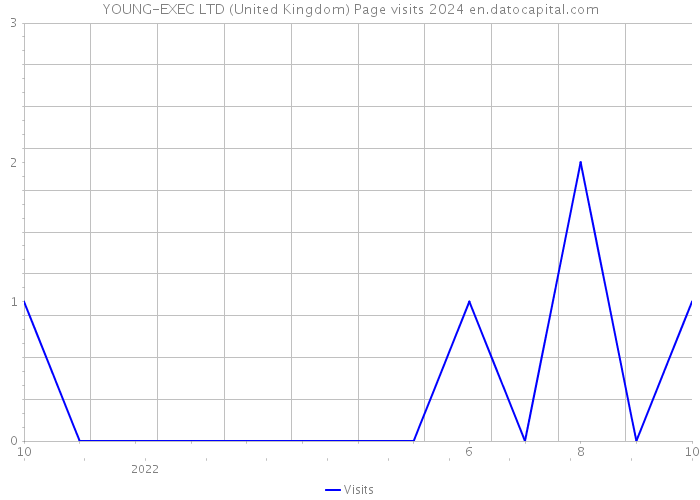 YOUNG-EXEC LTD (United Kingdom) Page visits 2024 