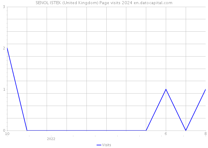 SENOL ISTEK (United Kingdom) Page visits 2024 