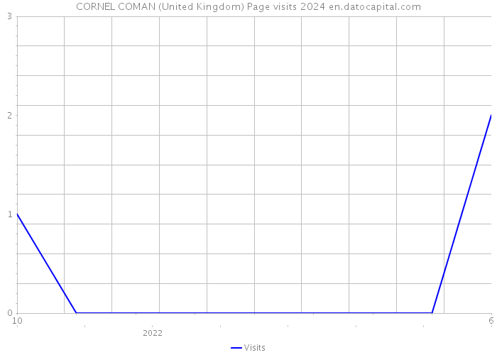 CORNEL COMAN (United Kingdom) Page visits 2024 