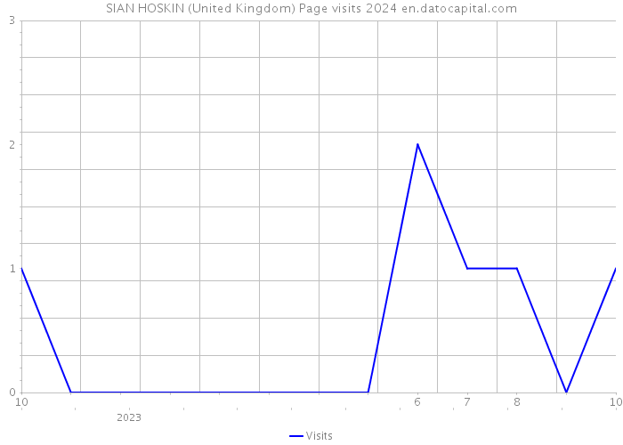 SIAN HOSKIN (United Kingdom) Page visits 2024 