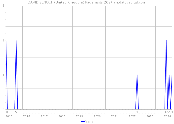 DAVID SENOUF (United Kingdom) Page visits 2024 