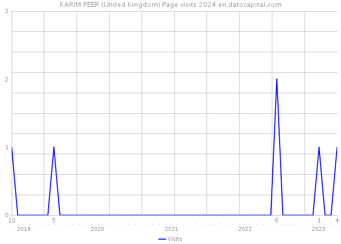 KARIM PEER (United Kingdom) Page visits 2024 