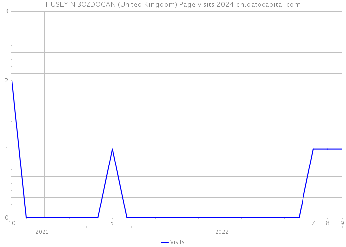 HUSEYIN BOZDOGAN (United Kingdom) Page visits 2024 