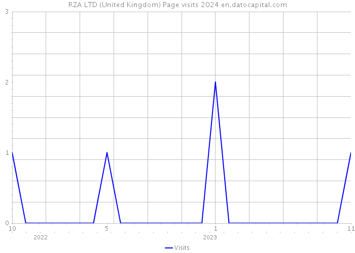 RZA LTD (United Kingdom) Page visits 2024 