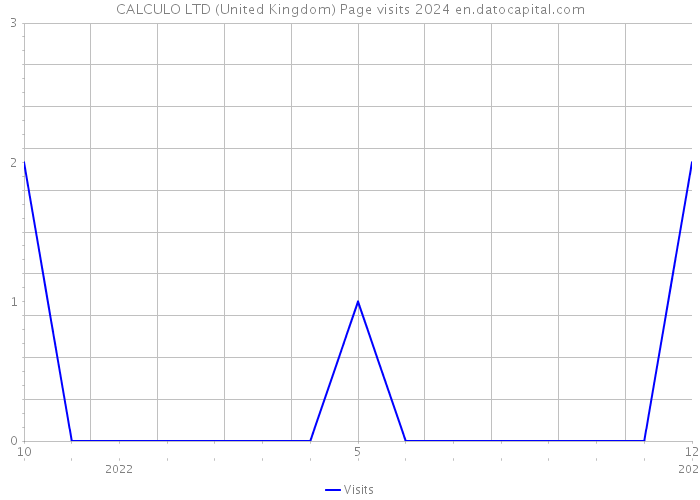 CALCULO LTD (United Kingdom) Page visits 2024 