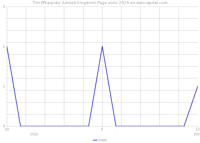 Tim Efkarpidis (United Kingdom) Page visits 2024 