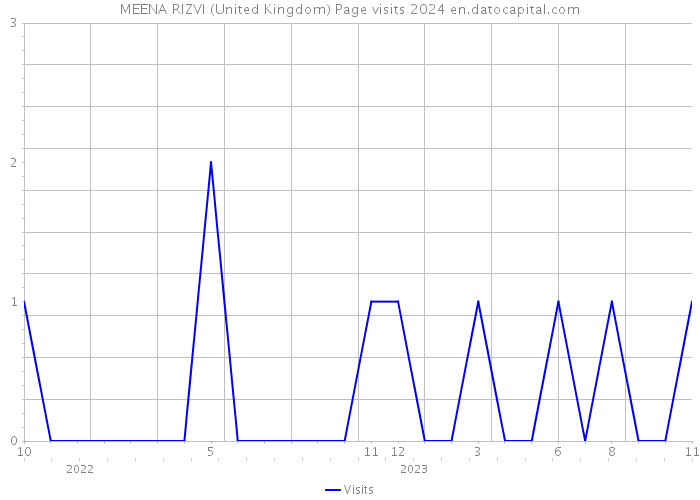 MEENA RIZVI (United Kingdom) Page visits 2024 