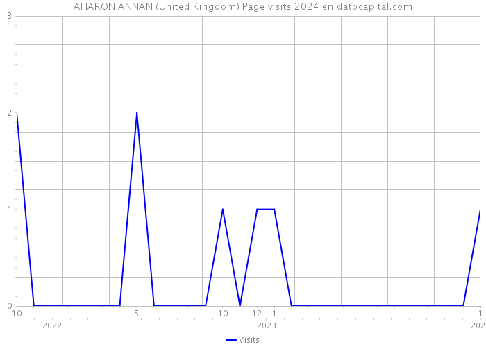 AHARON ANNAN (United Kingdom) Page visits 2024 