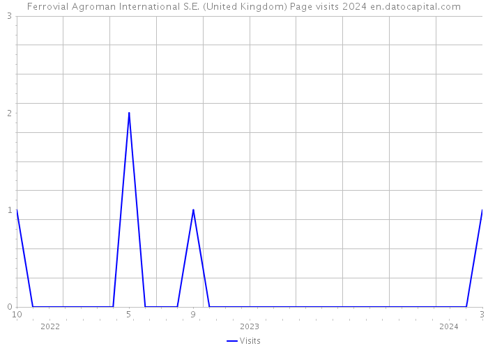 Ferrovial Agroman International S.E. (United Kingdom) Page visits 2024 