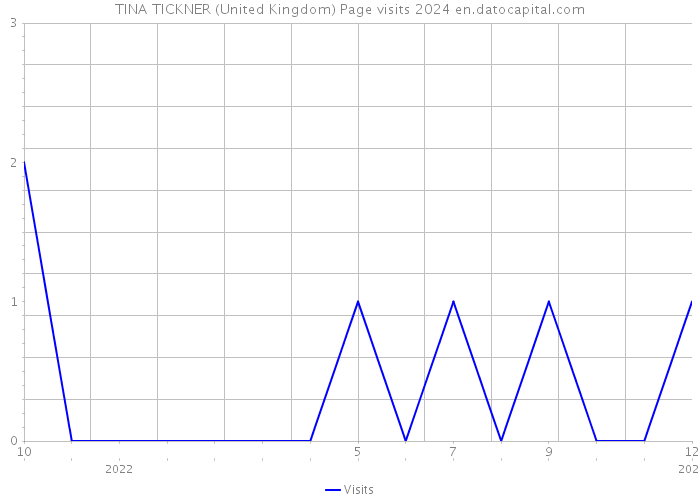 TINA TICKNER (United Kingdom) Page visits 2024 