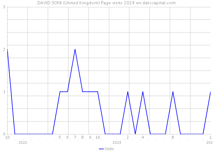 DAVID SONI (United Kingdom) Page visits 2024 