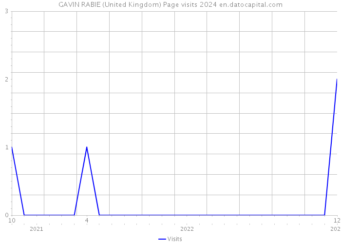 GAVIN RABIE (United Kingdom) Page visits 2024 