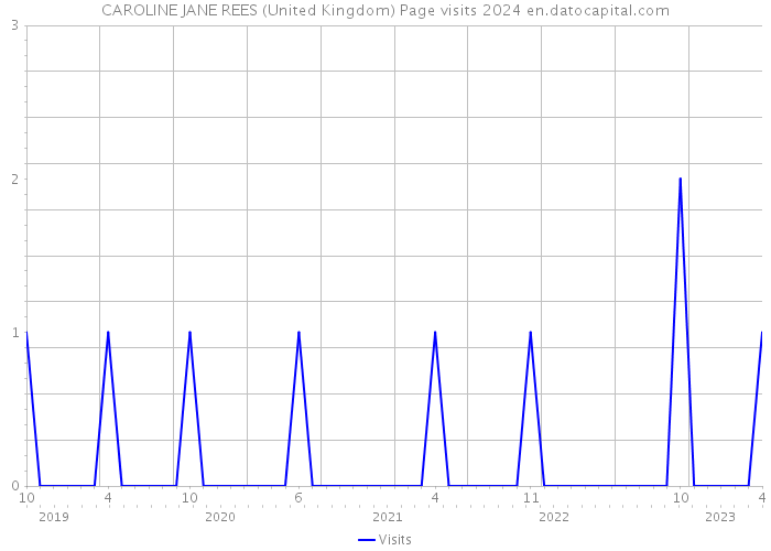 CAROLINE JANE REES (United Kingdom) Page visits 2024 