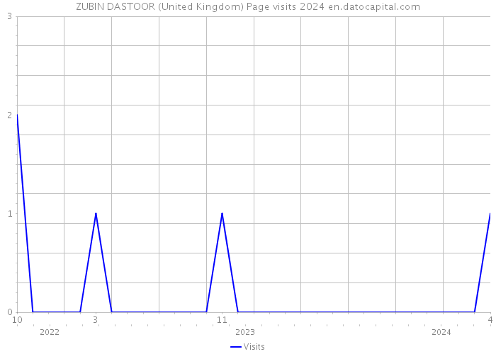 ZUBIN DASTOOR (United Kingdom) Page visits 2024 
