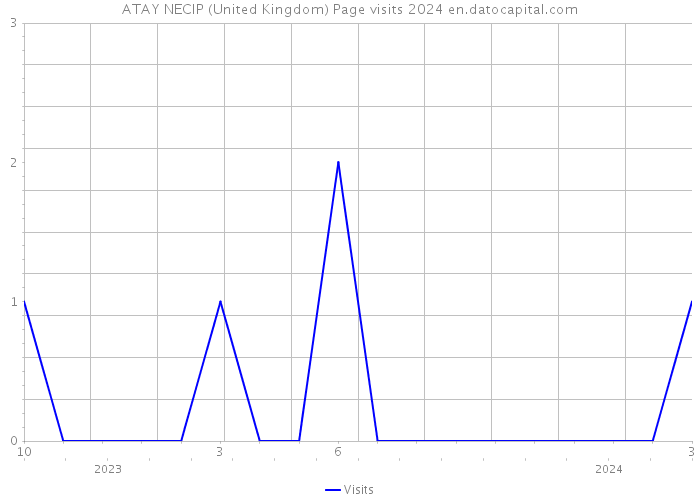 ATAY NECIP (United Kingdom) Page visits 2024 