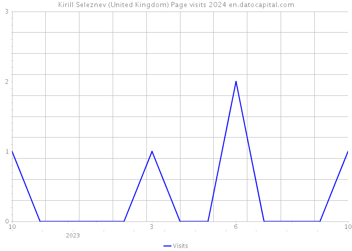 Kirill Seleznev (United Kingdom) Page visits 2024 