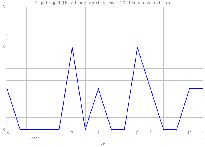 Sajjad Sajjad (United Kingdom) Page visits 2024 