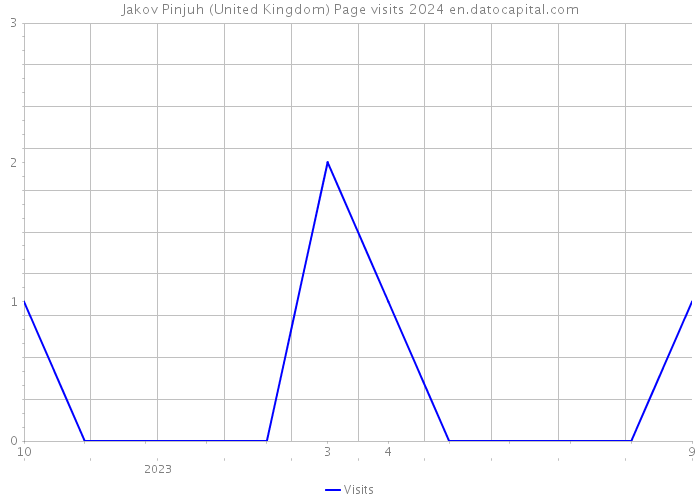 Jakov Pinjuh (United Kingdom) Page visits 2024 