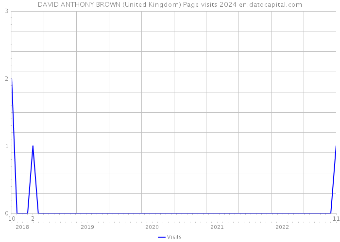 DAVID ANTHONY BROWN (United Kingdom) Page visits 2024 